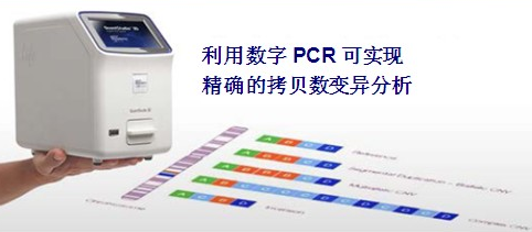 未来数字PCR仪将会占有最为普遍的市场