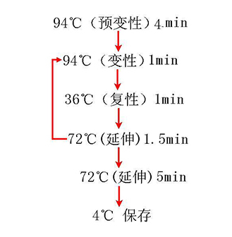 28圈(中国)官方网站