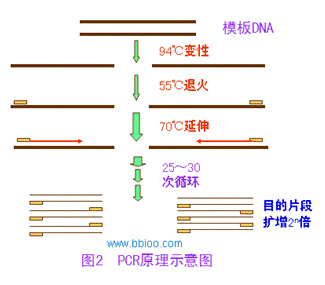 28圈(中国)官方网站