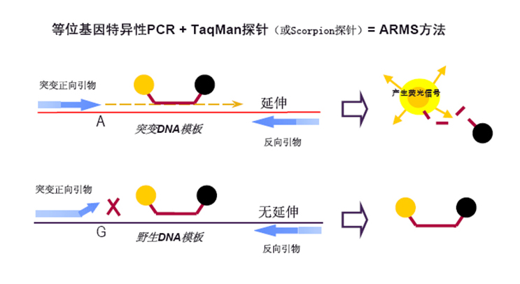 28圈(中国)官方网站